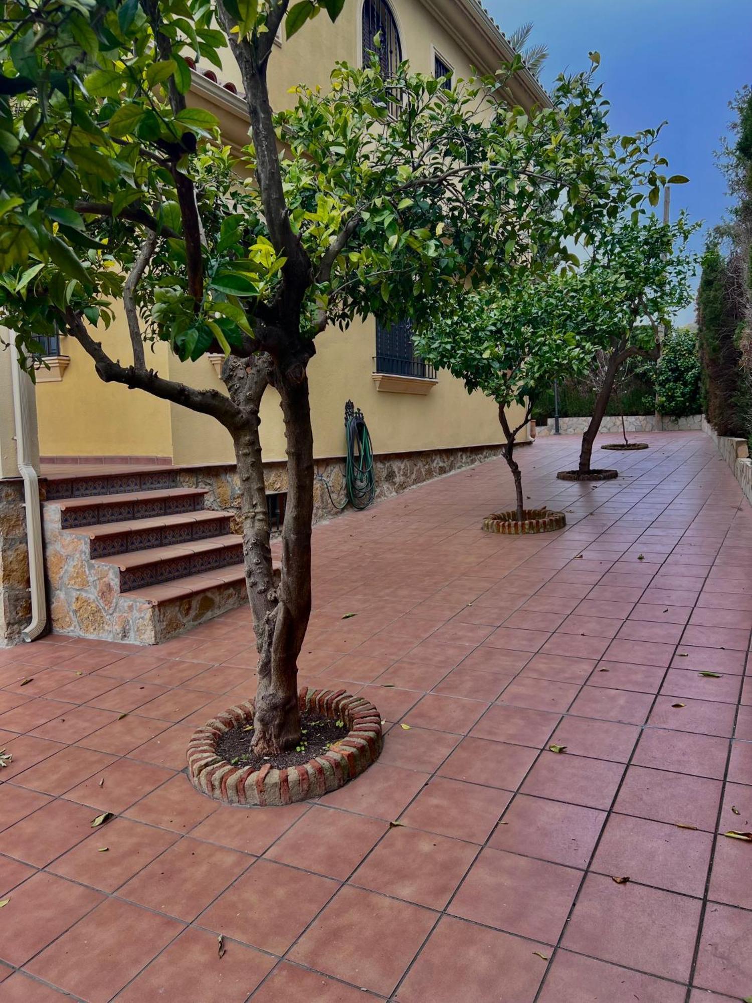 Villa El Carmen Cordova Esterno foto